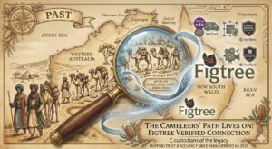 We check everything at our best ability.